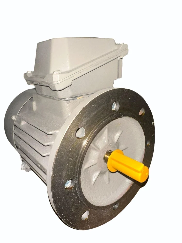 Innomatics Industrial Flame Proof Motor 1 HP | High Performance Frame 80 Motor