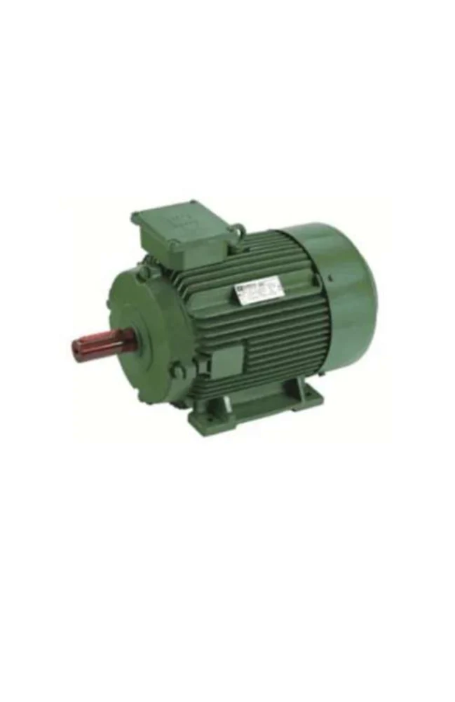 Innomotics - Flame Proof Motors - 2.2 kW, 3 HP, Frame 100L - 1MB7563-1AB43-5AA4