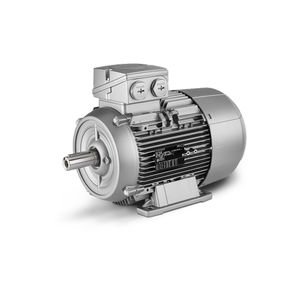 Innomotics - Flame Proof Motors - 30 kW, 40 HP, Frame 280M - 1MB7563-2BC23-5AA4